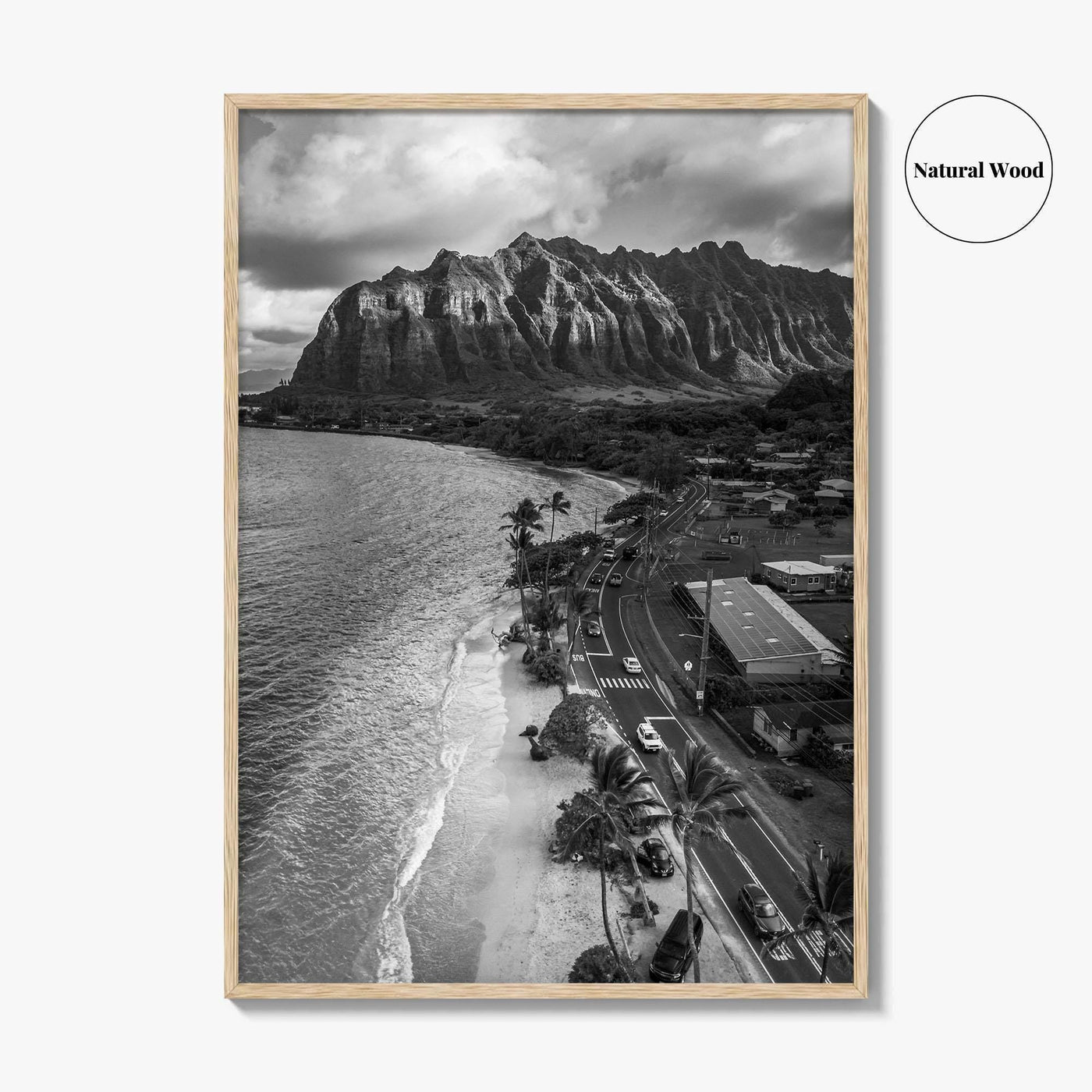 Oahu Black and White Fine Art Photo Print, Hawaii Beach Wall Decor Poster, Honolulu
