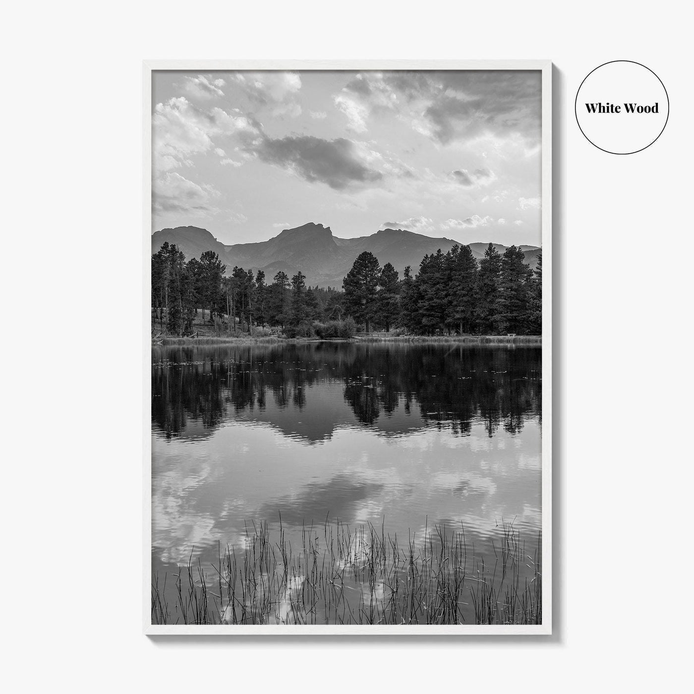 Rocky Mountain Black and White Fine Art Photo Print, Sprague Lake Colorado Poster