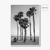 Santa Monica Black and White Fine Art Photo Print, California Palm Trees Poster