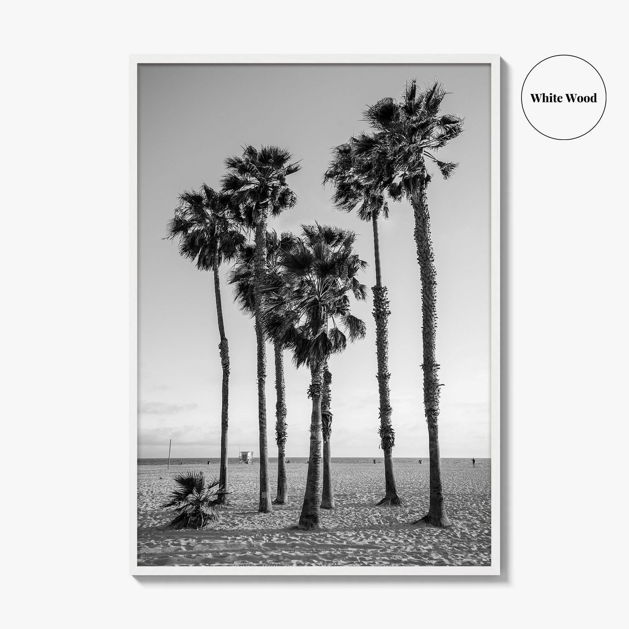 Santa Monica Black and White Fine Art Photo Print, California Palm Trees Poster