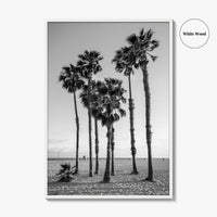 Santa Monica Black and White Fine Art Photo Print, California Palm Trees Poster