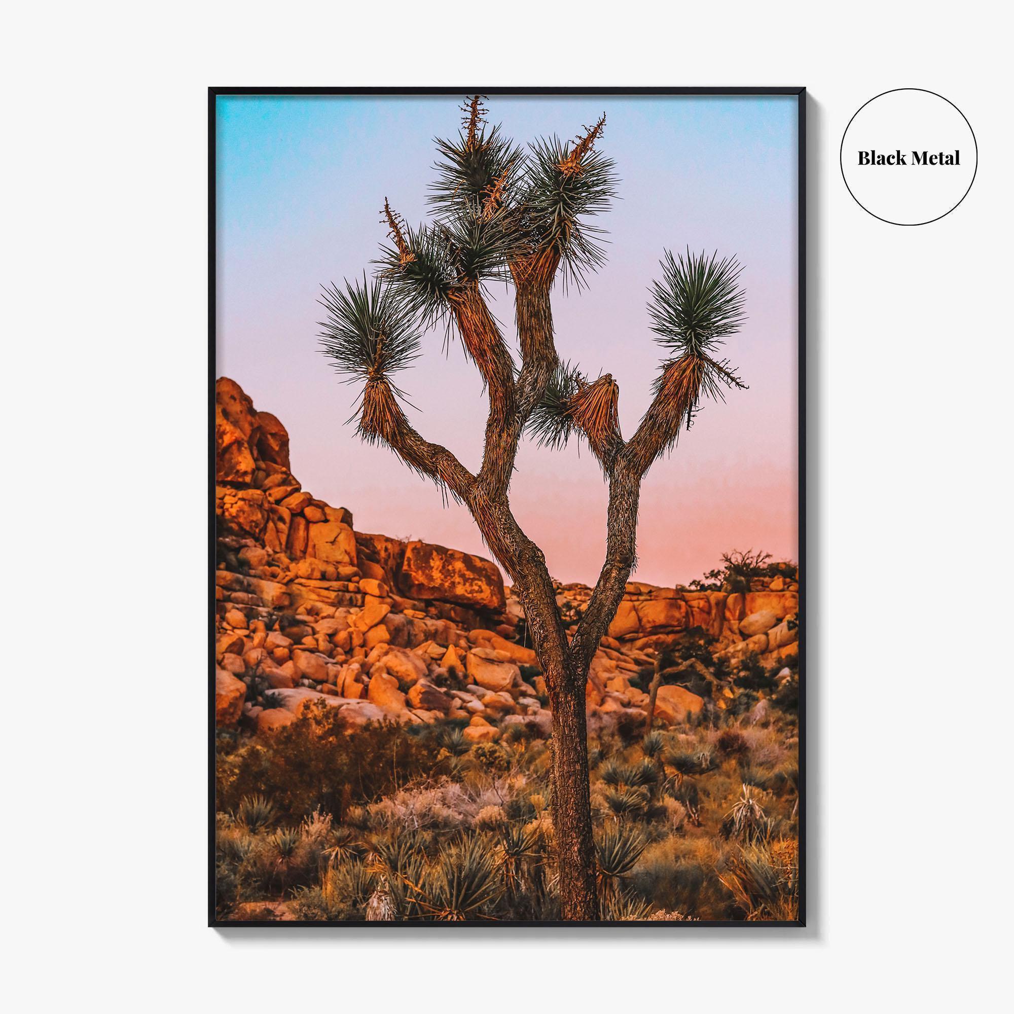 Joshua Tree National Park Blue Fine Art Photo Print, California Wall Decor Poster, USA