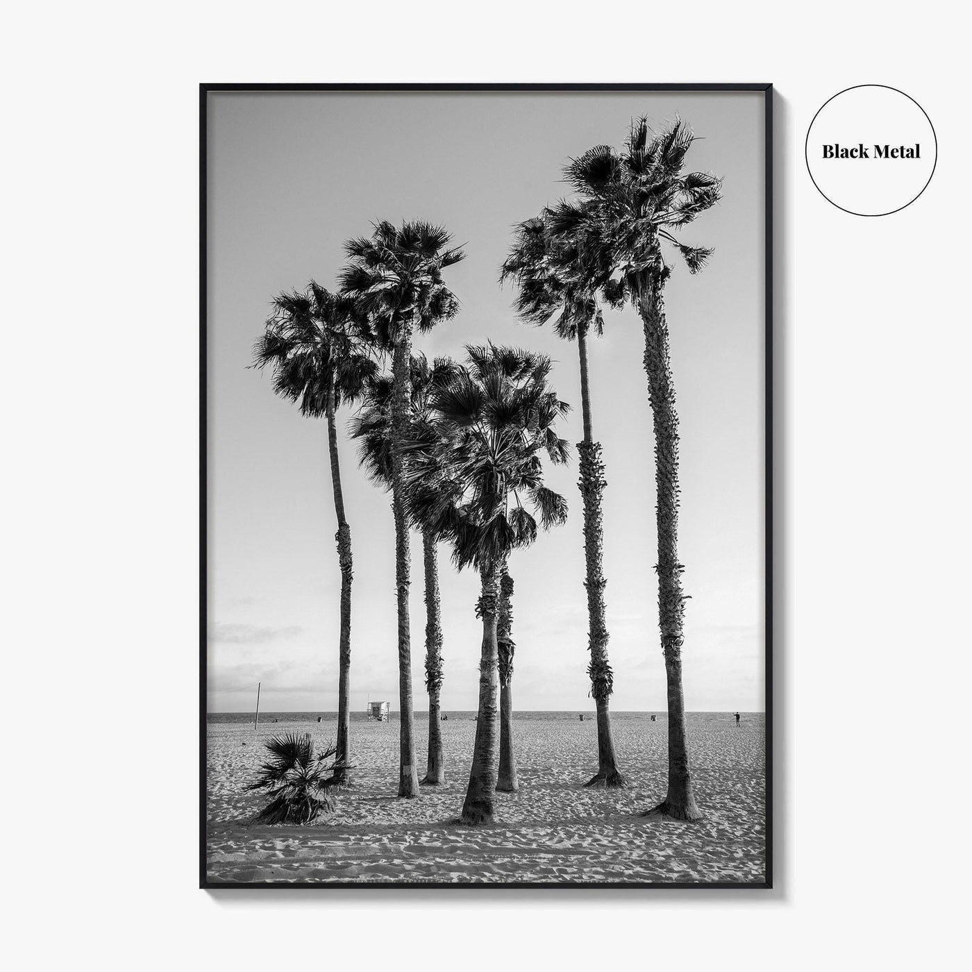 Santa Monica Black and White Fine Art Photo Print, California Palm Trees Poster