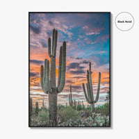 Saguaro National Park Fine Art Photo Print, Tucson Arizona USA, Wall Poster
