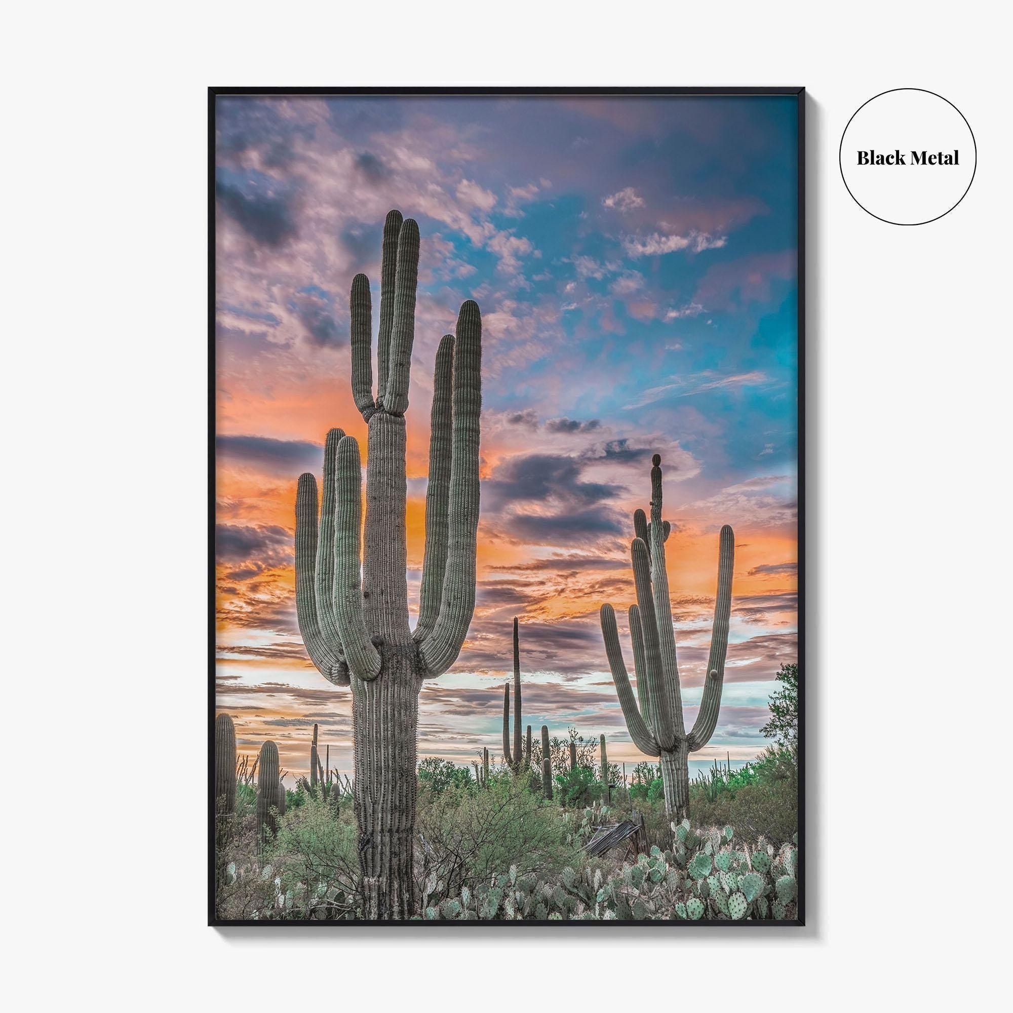 Saguaro National Park Fine Art Photo Print, Tucson Arizona USA, Wall Poster