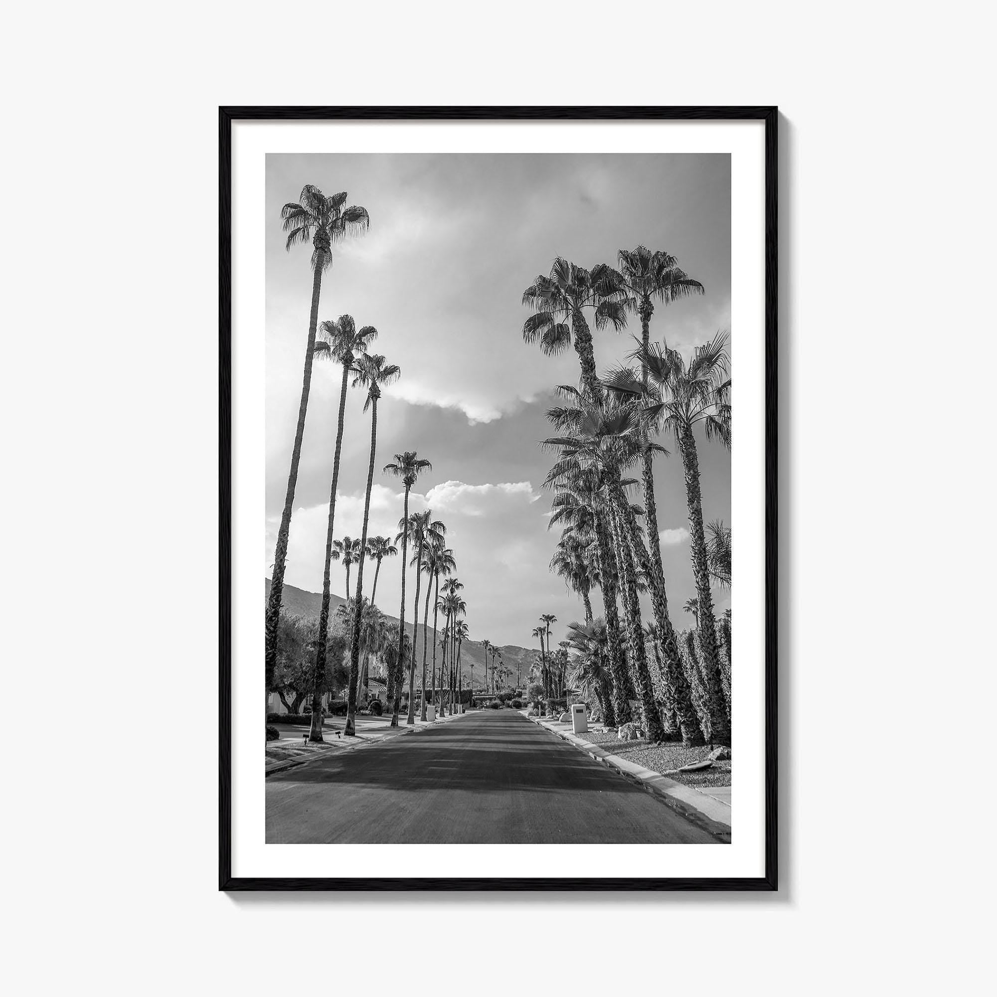 Palm Springs Black and White Fine Art Photo Print, Coachella Valley Poster