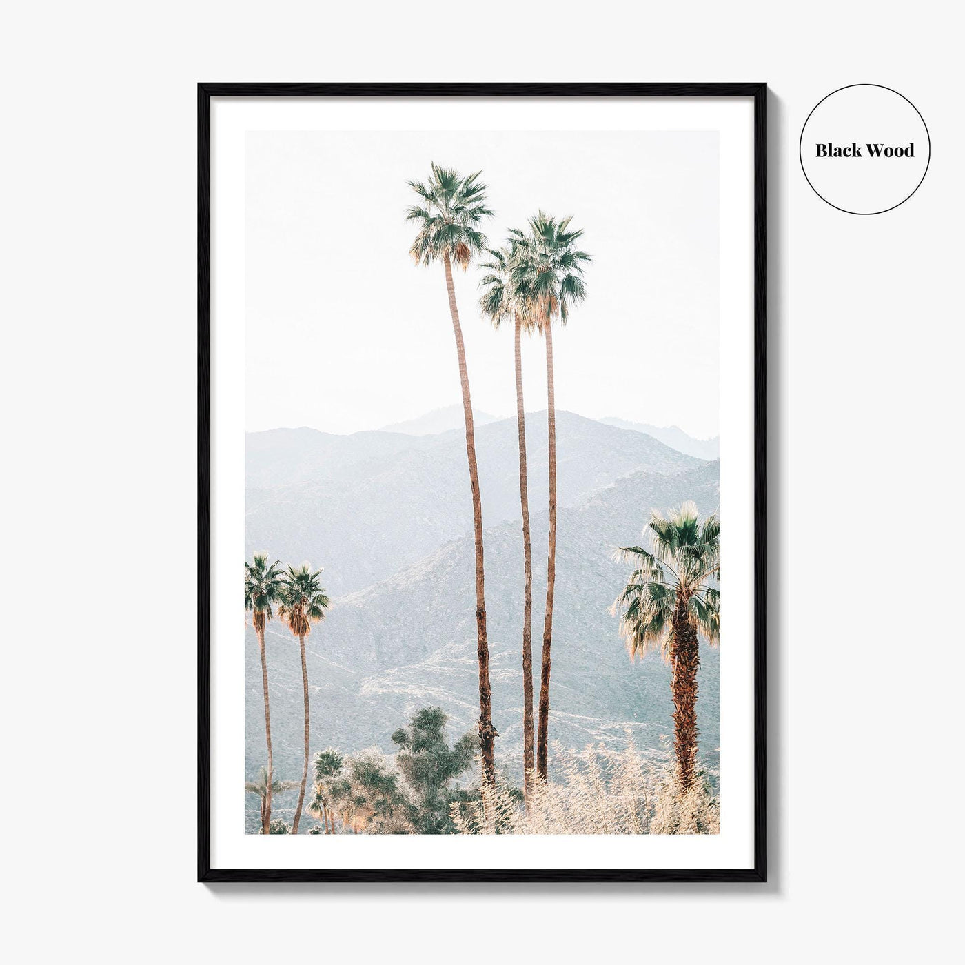 Palm Springs Fine Art Photo Print, Palm Trees, Mountains, California Poster, Coachella Valley