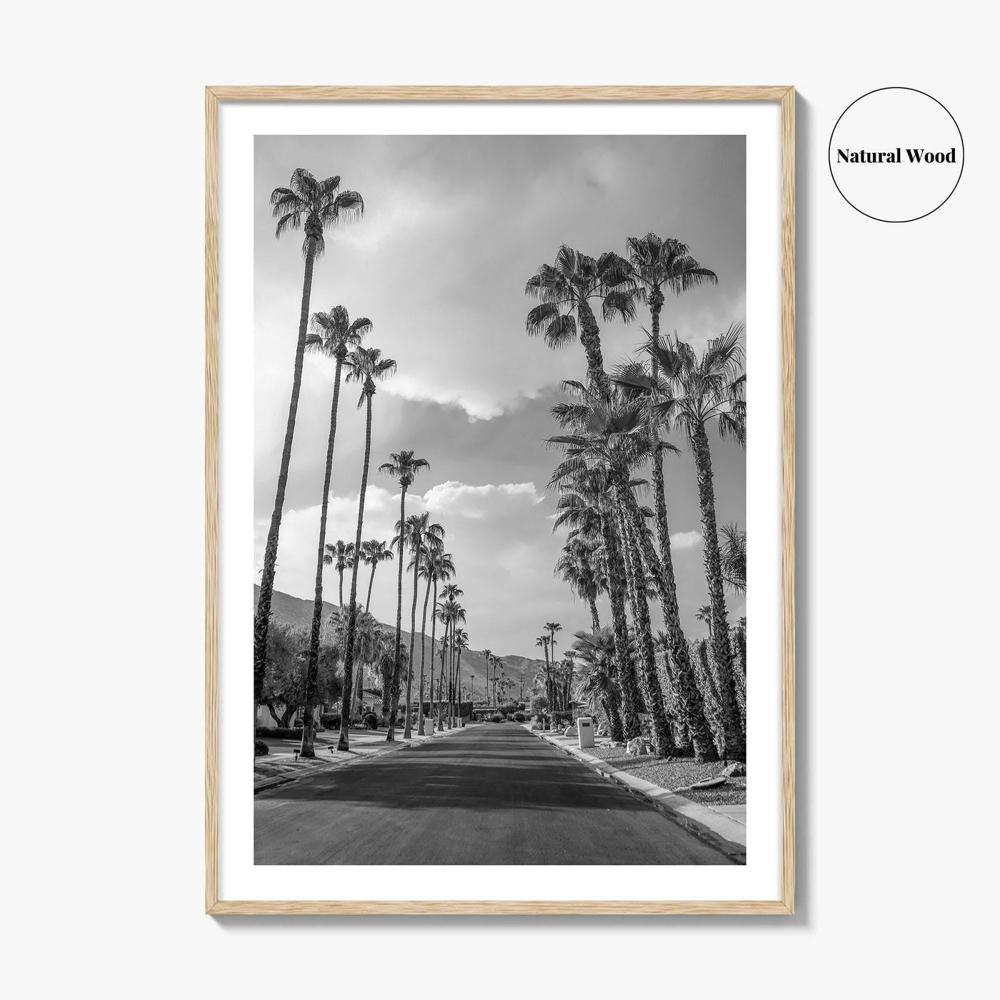 Palm Springs Black and White Fine Art Photo Print, Coachella Valley Poster