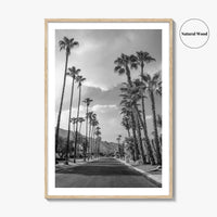 Palm Springs Black and White Fine Art Photo Print, Coachella Valley Poster