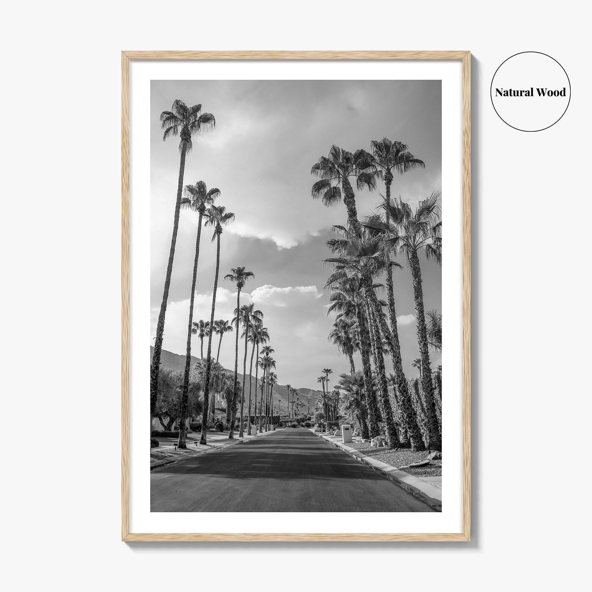 Palm Springs Black and White Fine Art Photo Print, Coachella Valley Poster