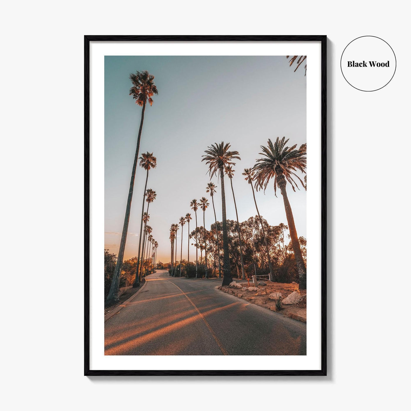 Los Angeles Fine Art Photo Print, Elysian Park, Palm Trees, California Wall Decor