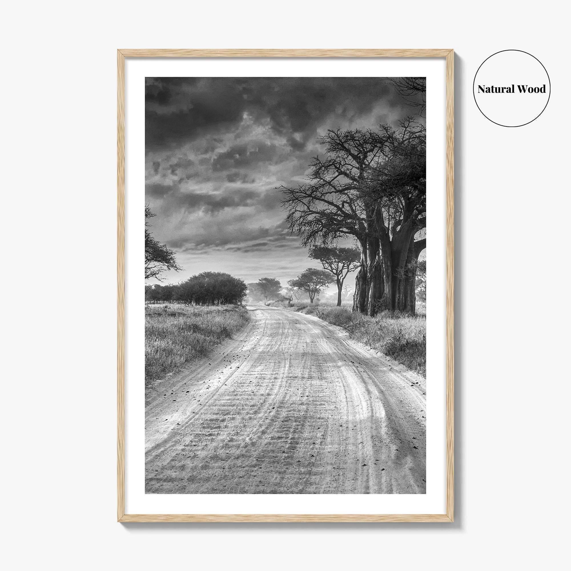 Tanzania Black and White Fine Art Photo Print, Africa Wall Art, Safari Poster
