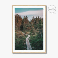 Outer Cove Fine Art Photo Print, Newfoundland and Labrador, St Johns, Forest Trail Poster