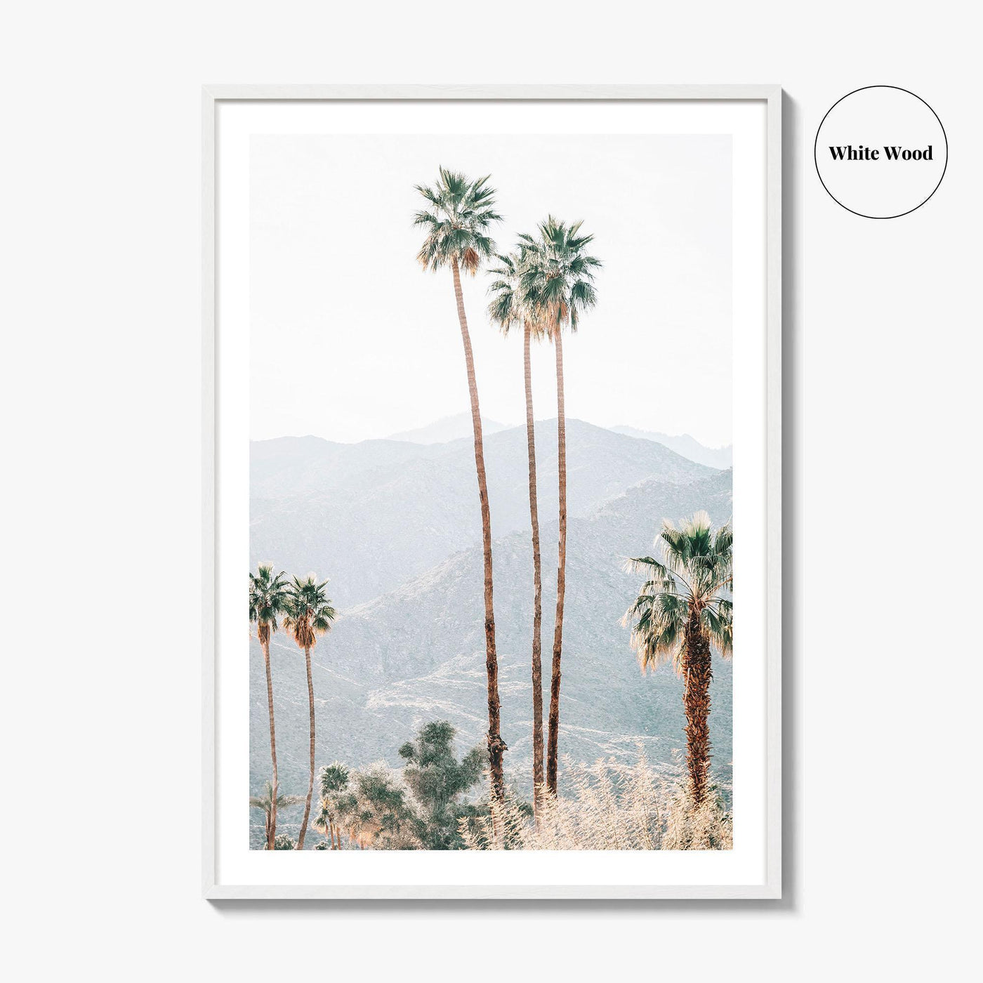 Palm Springs Fine Art Photo Print, Palm Trees, Mountains, California Poster, Coachella Valley