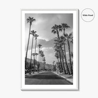 Palm Springs Black and White Fine Art Photo Print, Coachella Valley Poster