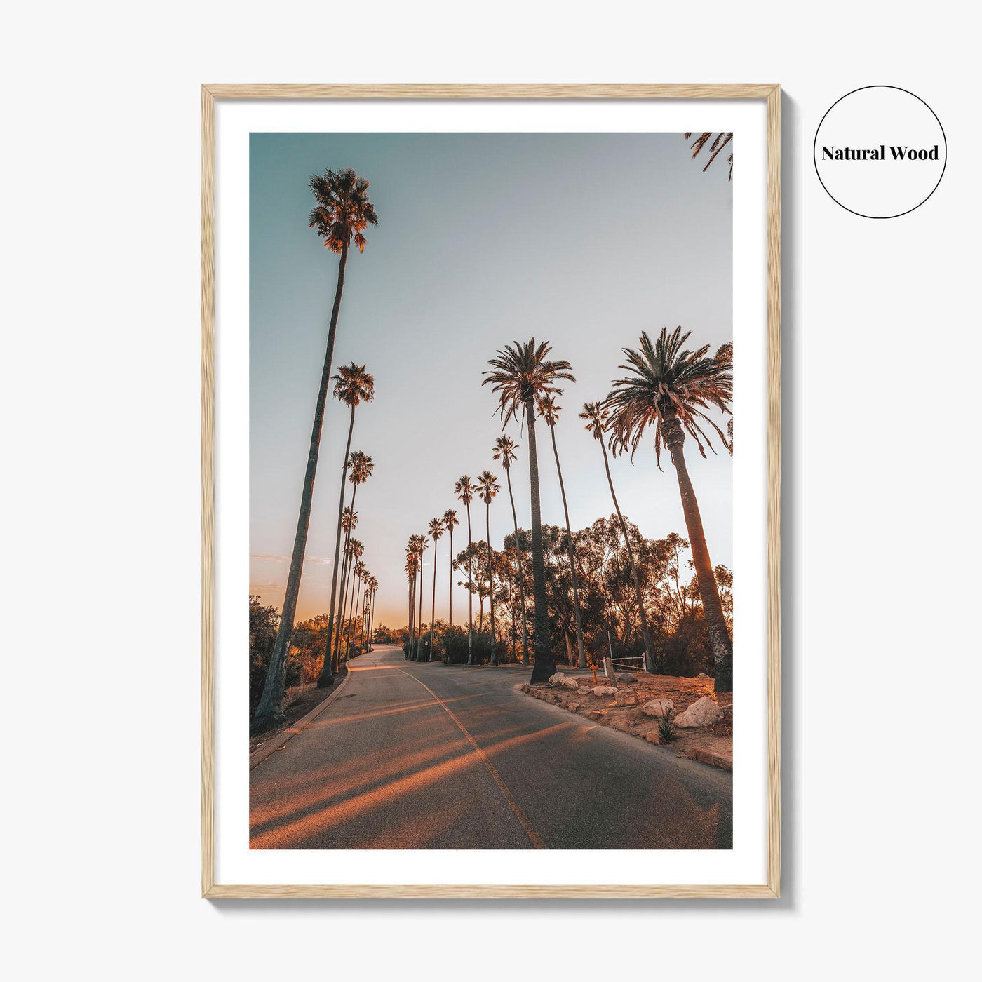 Los Angeles Fine Art Photo Print, Elysian Park, Palm Trees, California Wall Decor