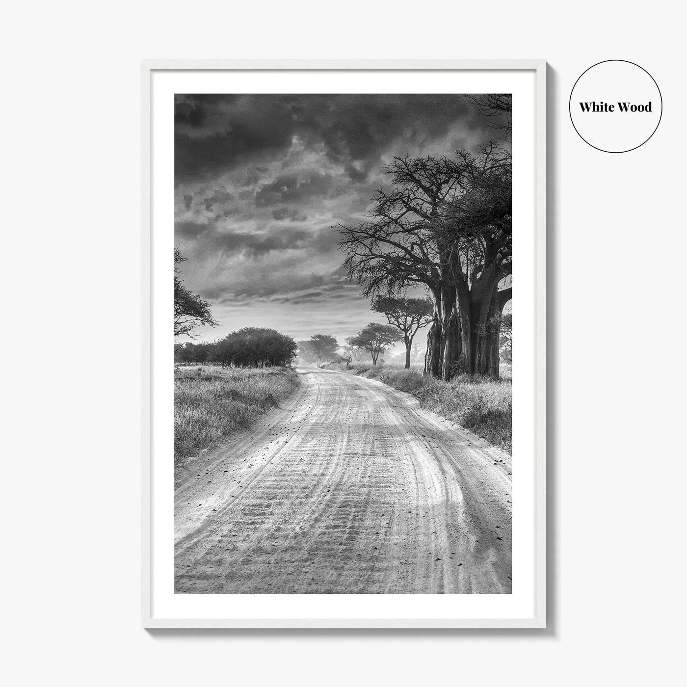 Tanzania Black and White Fine Art Photo Print, Africa Wall Art, Safari Poster