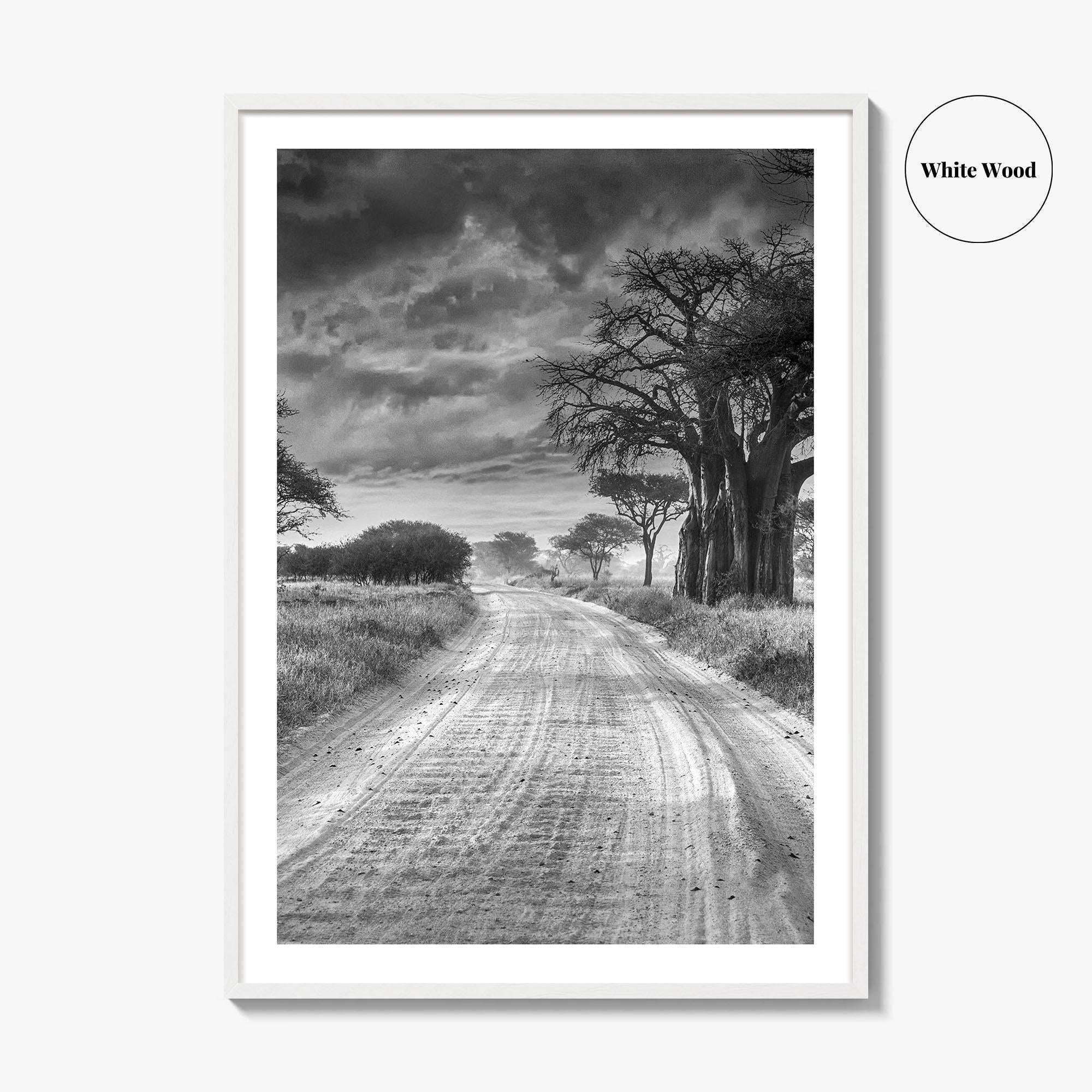 Tanzania Black and White Fine Art Photo Print, Africa Wall Art, Safari Poster