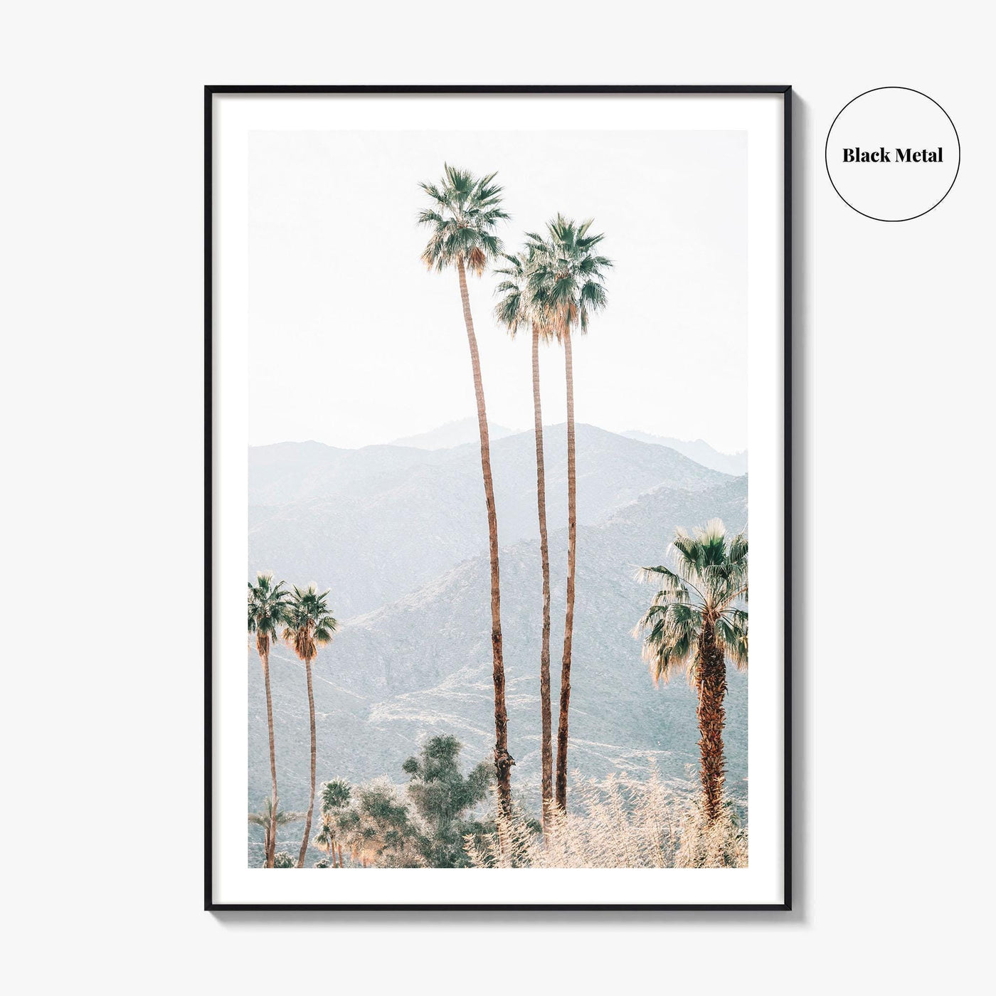 Palm Springs Fine Art Photo Print, Palm Trees, Mountains, California Poster, Coachella Valley