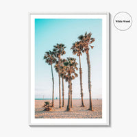 Santa Monica Fine Art Photo Print, Los Angeles, California Beach, Palm Trees, Wall Poster