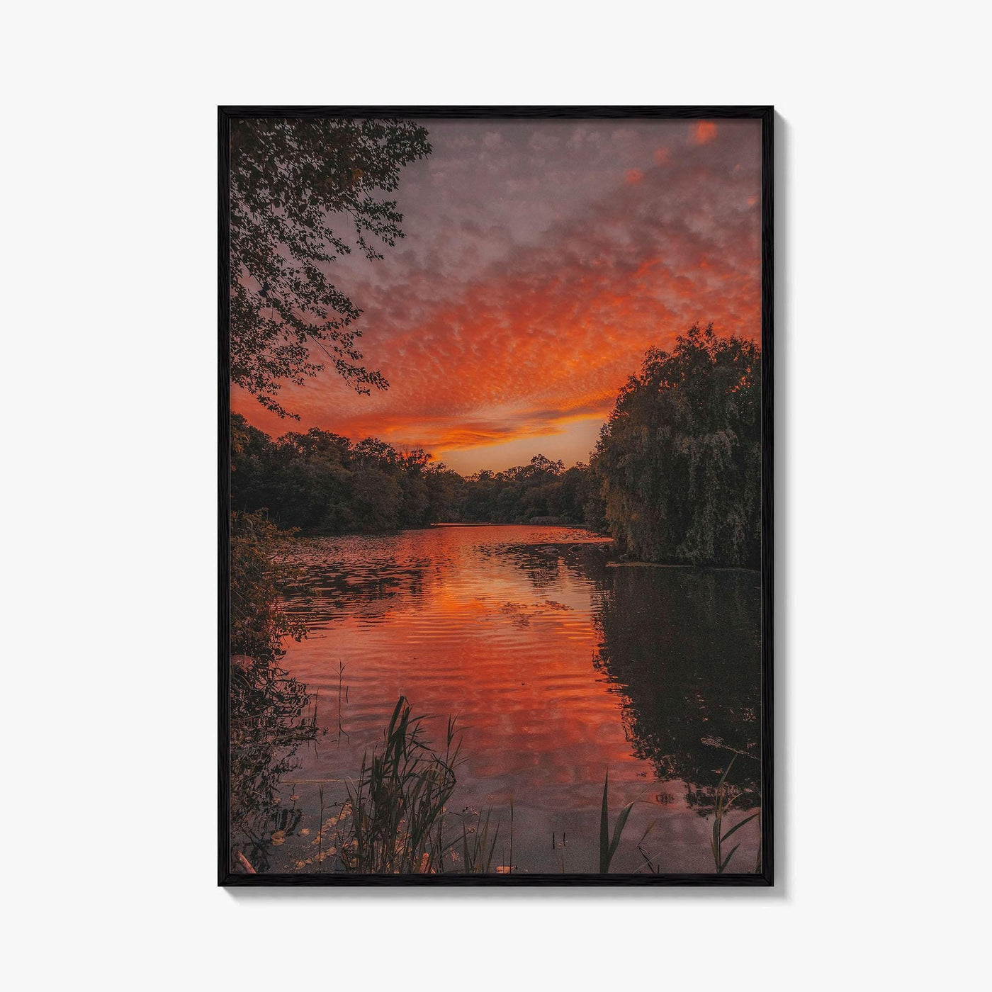Prospect Park Lake Fine Art Photo Print, Brooklyn, New York City, USA, Poster