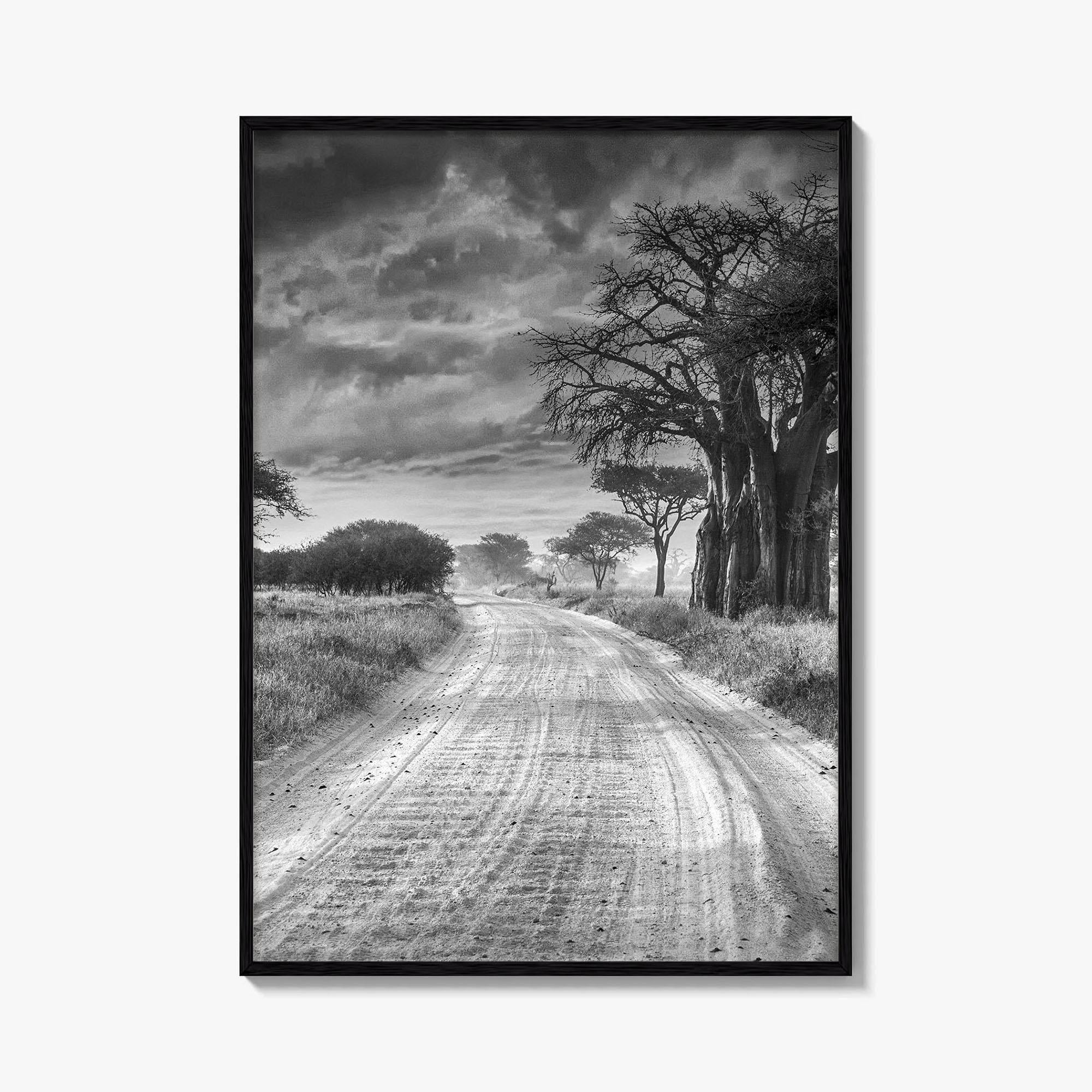 Tanzania Black and White Fine Art Photo Print, Africa Wall Art, Safari Poster