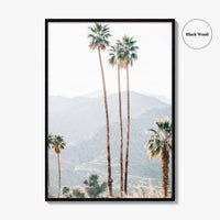 Palm Springs Fine Art Photo Print, Palm Trees, Mountains, California Poster, Coachella Valley