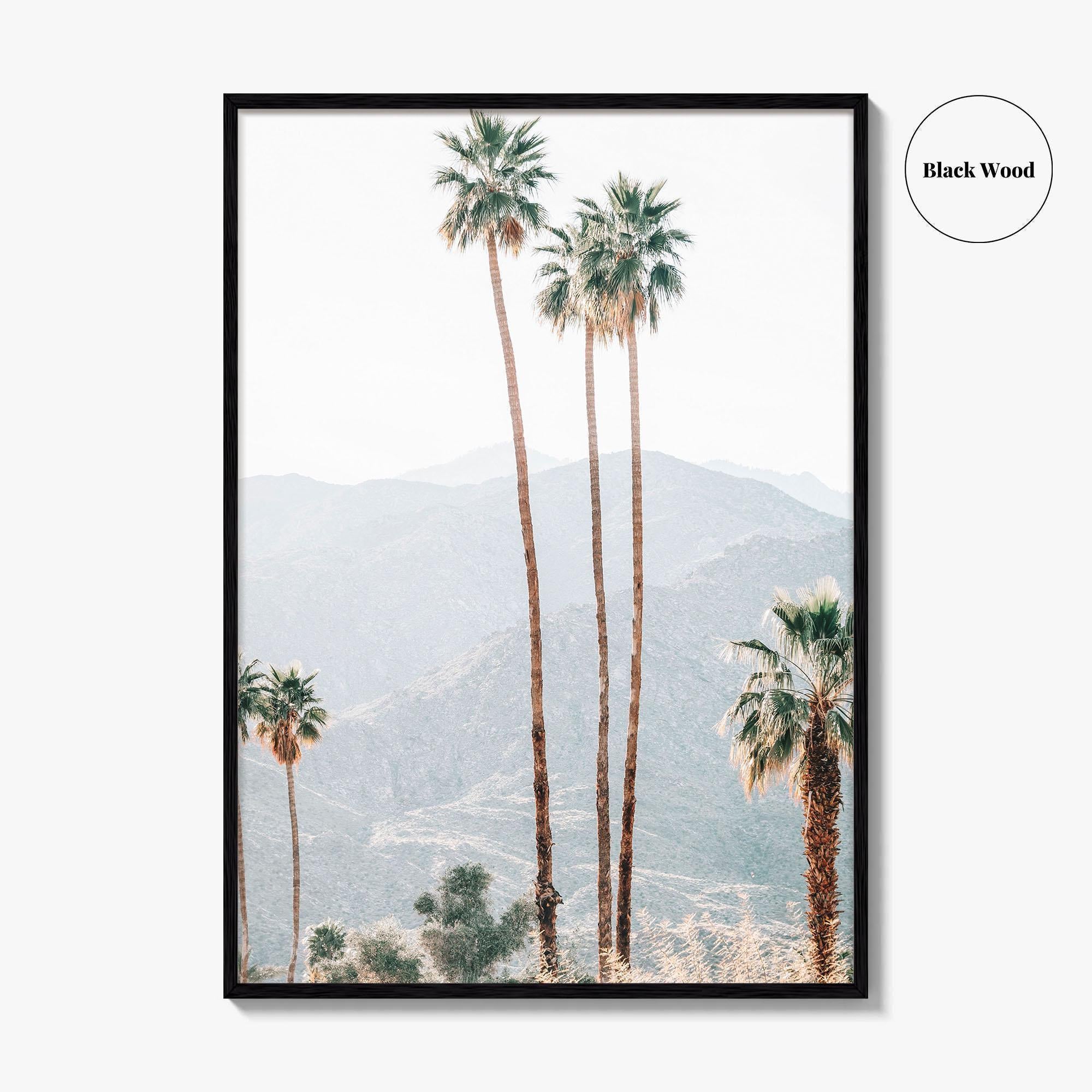 Palm Springs Fine Art Photo Print, Palm Trees, Mountains, California Poster, Coachella Valley
