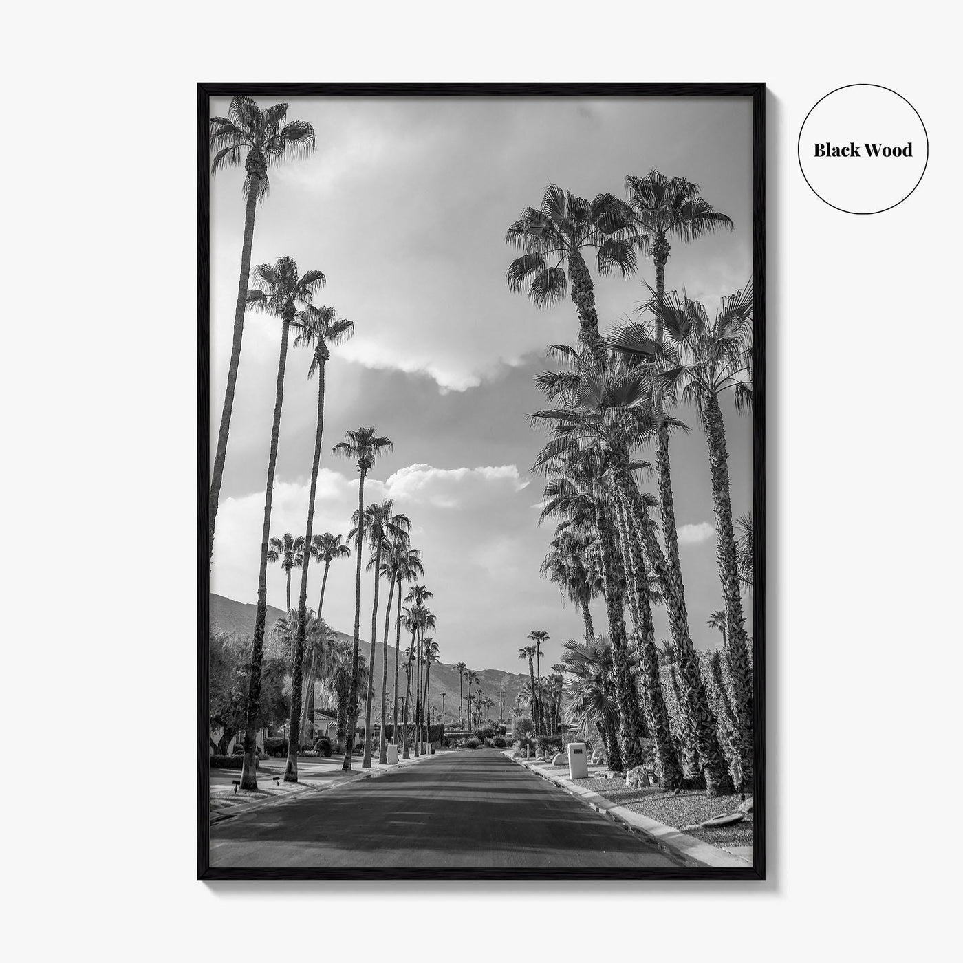 Palm Springs Black and White Fine Art Photo Print, Coachella Valley Poster