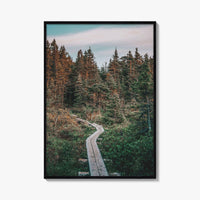 Outer Cove Fine Art Photo Print, Newfoundland and Labrador, St Johns, Forest Trail Poster