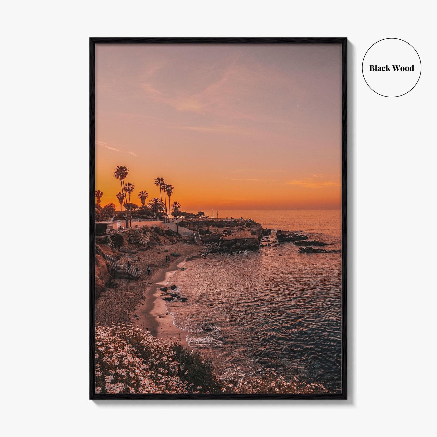 La Jolla Fine Art Photo Print, San Diego California Beach Wall Decor Poster, USA
