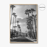 Palm Springs Black and White Fine Art Photo Print, Coachella Valley Poster