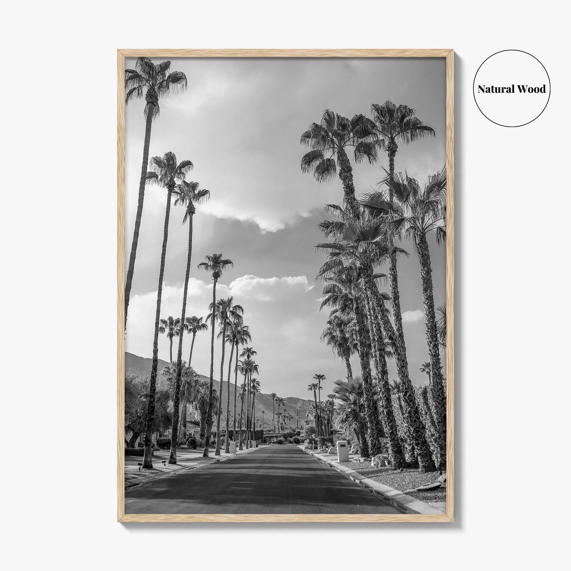 Palm Springs Black and White Fine Art Photo Print, Coachella Valley Poster