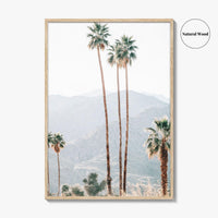 Palm Springs Fine Art Photo Print, Palm Trees, Mountains, California Poster, Coachella Valley