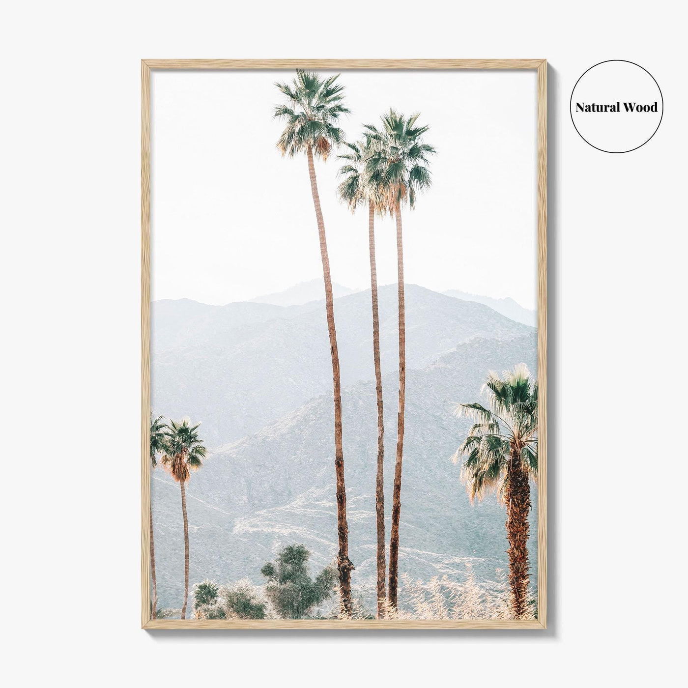 Palm Springs Fine Art Photo Print, Palm Trees, Mountains, California Poster, Coachella Valley