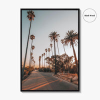Los Angeles Fine Art Photo Print, Elysian Park, Palm Trees, California Wall Decor