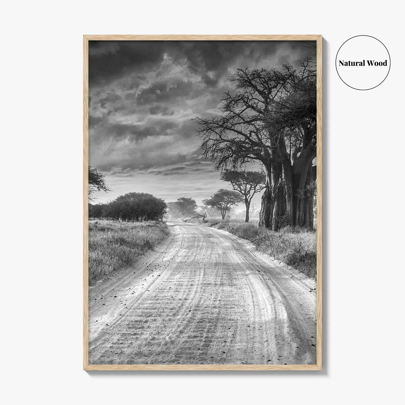 Tanzania Black and White Fine Art Photo Print, Africa Wall Art, Safari Poster