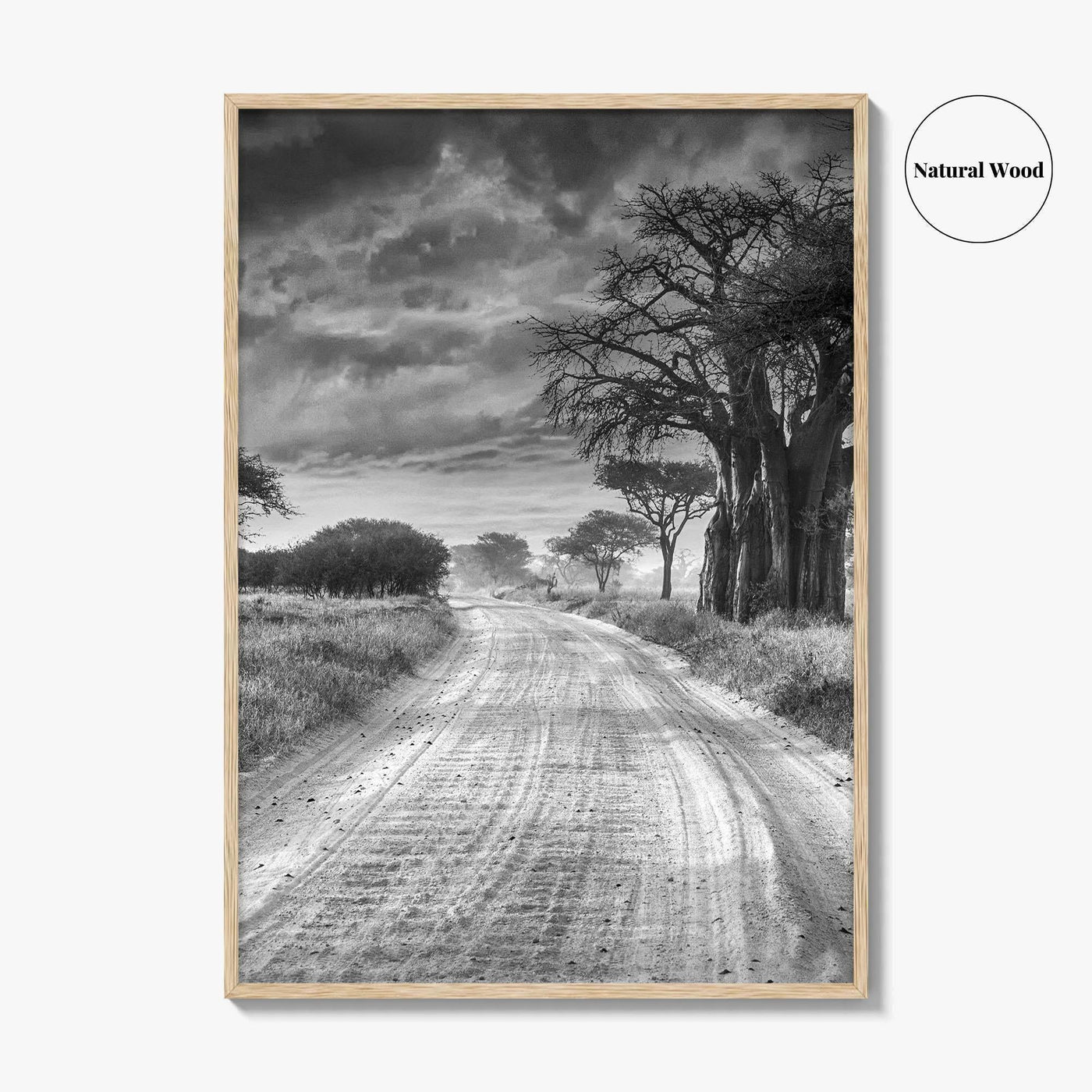 Tanzania Black and White Fine Art Photo Print, Africa Wall Art, Safari Poster