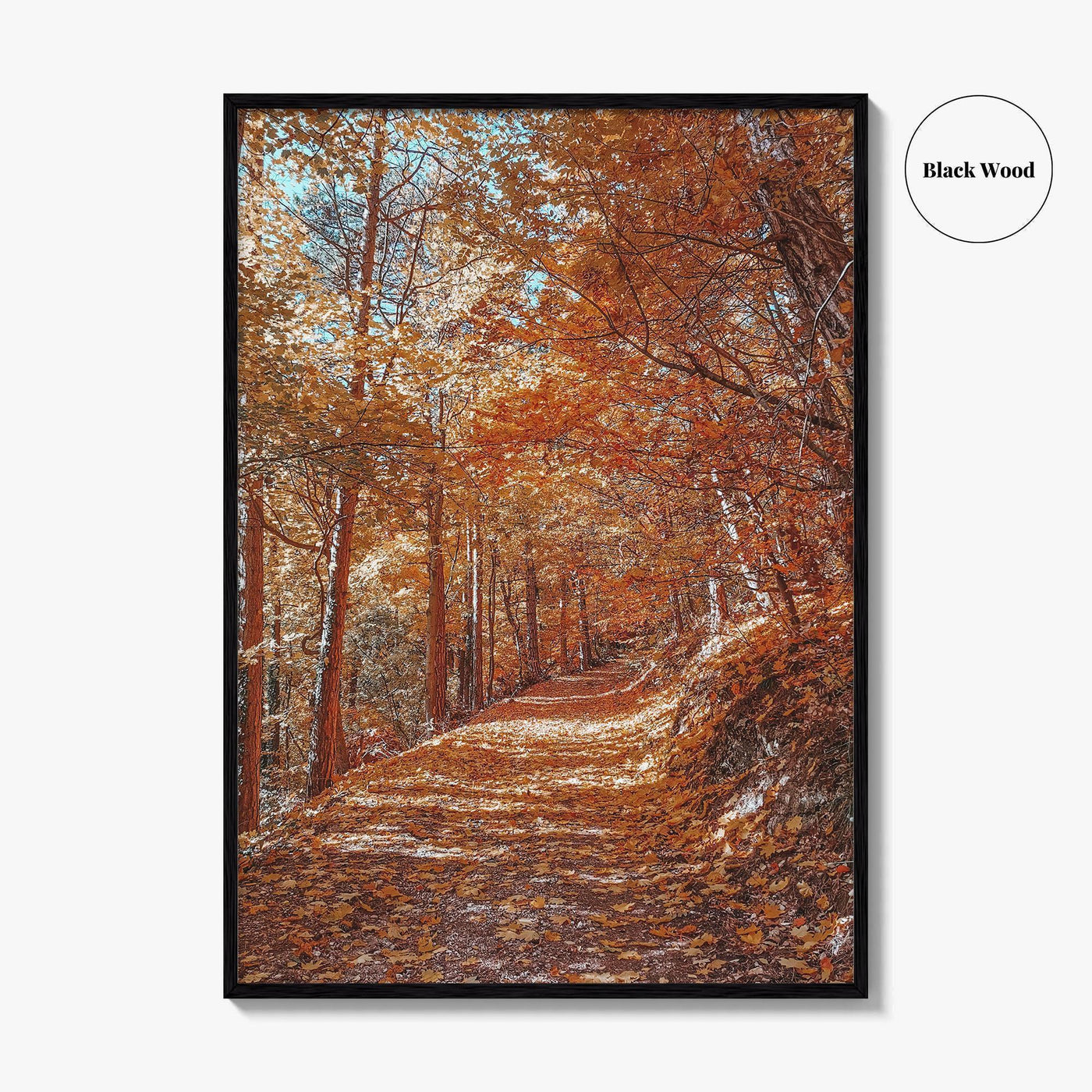 Tampa Mountain Fine Art Photo Print, Brasov Romania Poster, Transylvania Wall Art