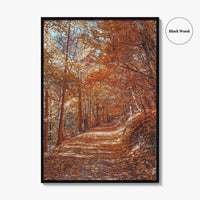 Tampa Mountain Fine Art Photo Print, Brasov Romania Poster, Transylvania Wall Art