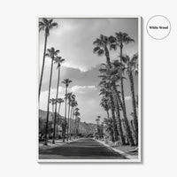 Palm Springs Black and White Fine Art Photo Print, Coachella Valley Poster