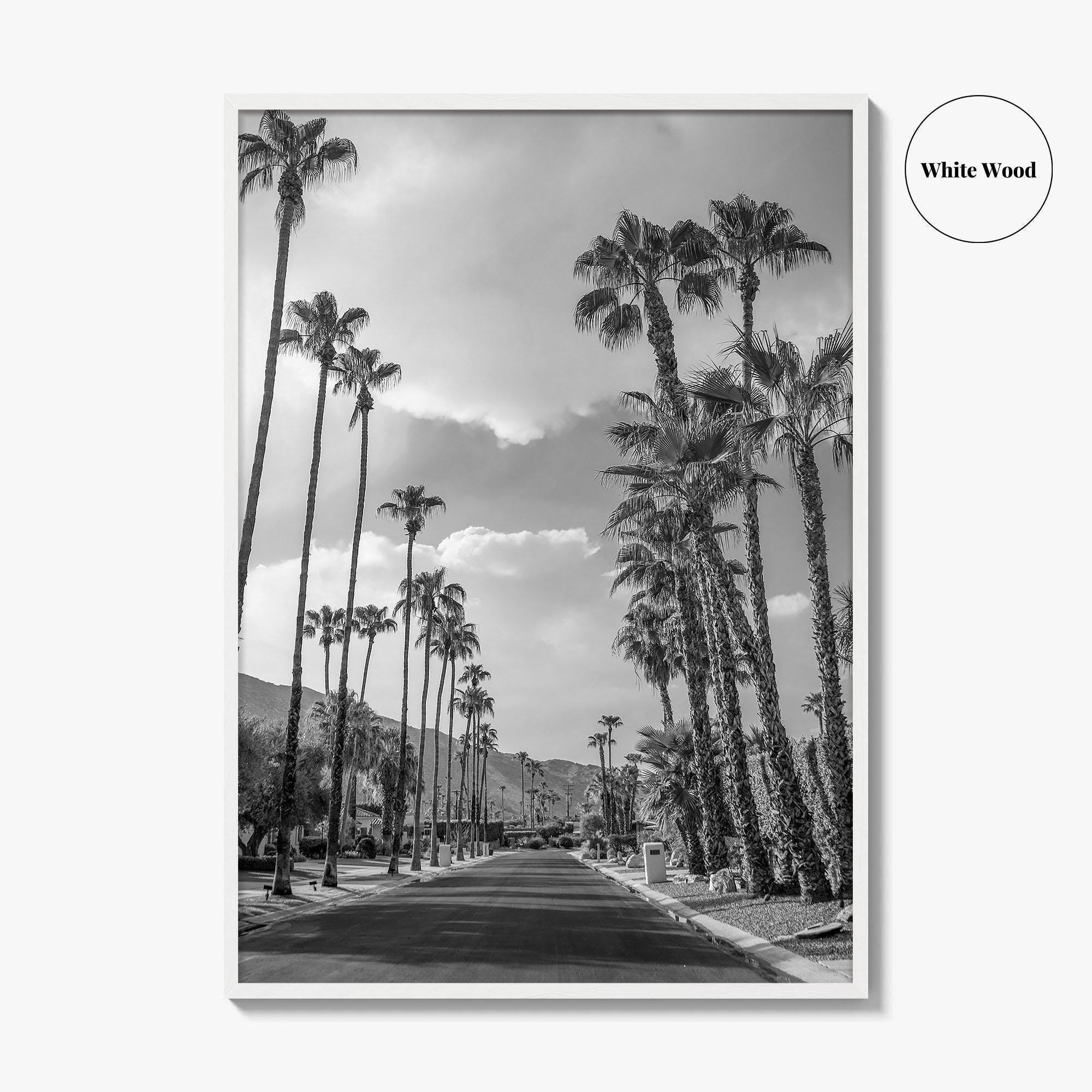 Palm Springs Black and White Fine Art Photo Print, Coachella Valley Poster