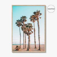 Santa Monica Fine Art Photo Print, Los Angeles, California Beach, Palm Trees, Wall Poster