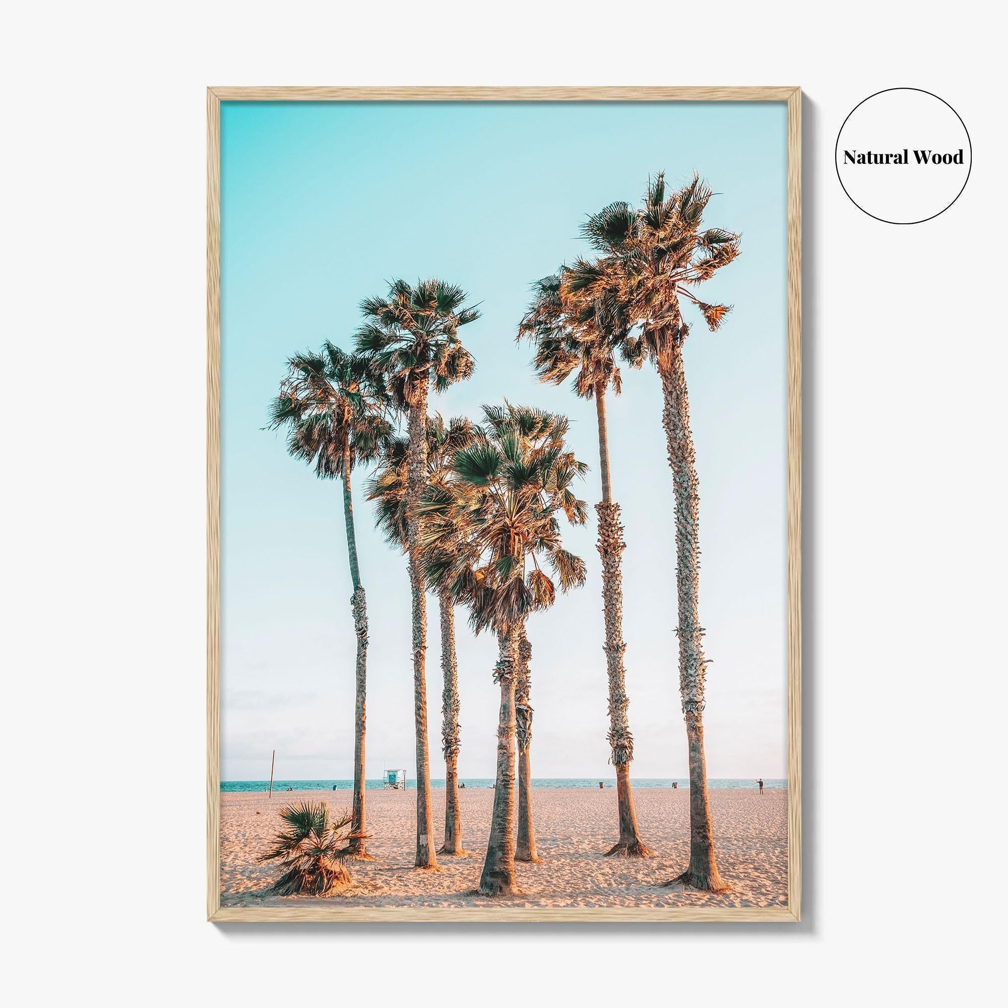 Santa Monica Fine Art Photo Print, Los Angeles, California Beach, Palm Trees, Wall Poster