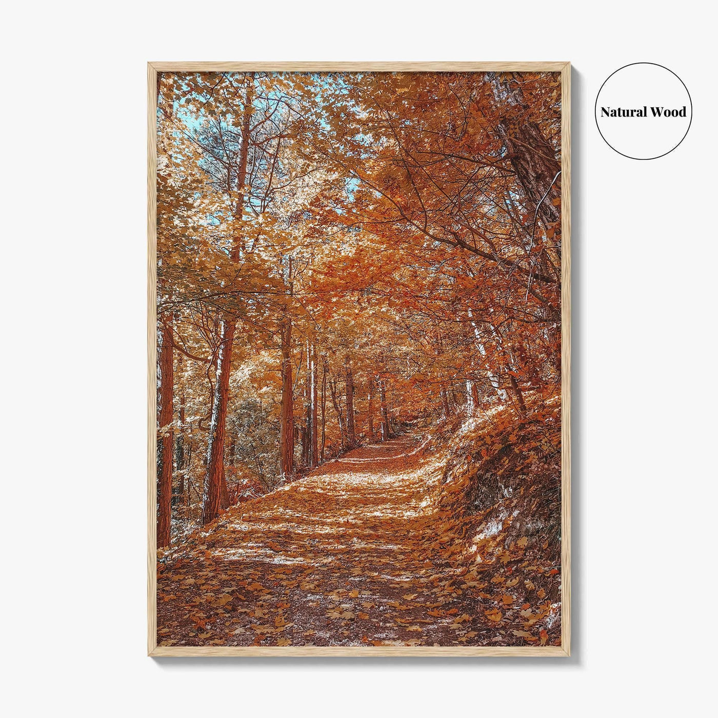 Tampa Mountain Fine Art Photo Print, Brasov Romania Poster, Transylvania Wall Art