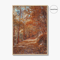 Tampa Mountain Fine Art Photo Print, Brasov Romania Poster, Transylvania Wall Art