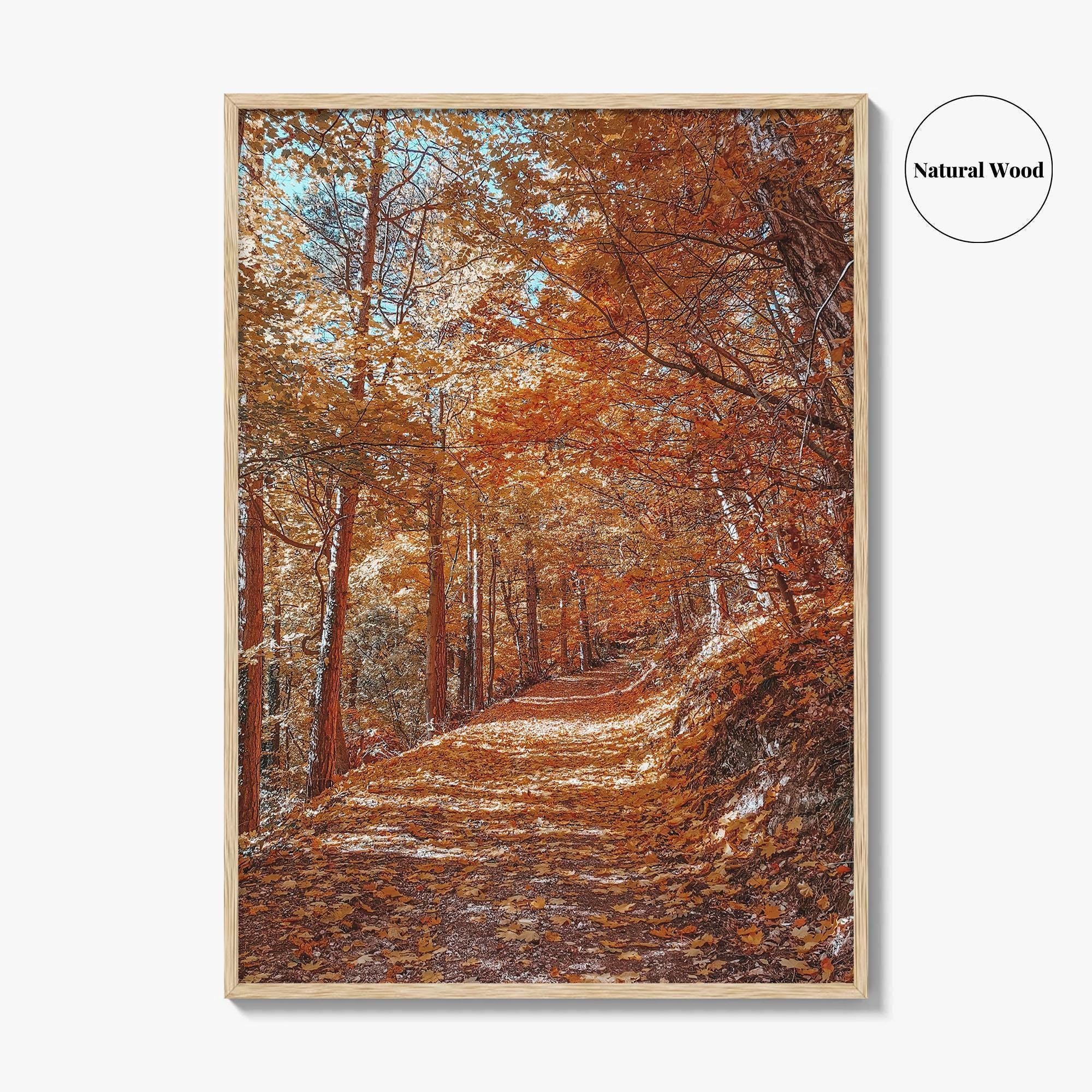 Tampa Mountain Fine Art Photo Print, Brasov Romania Poster, Transylvania Wall Art