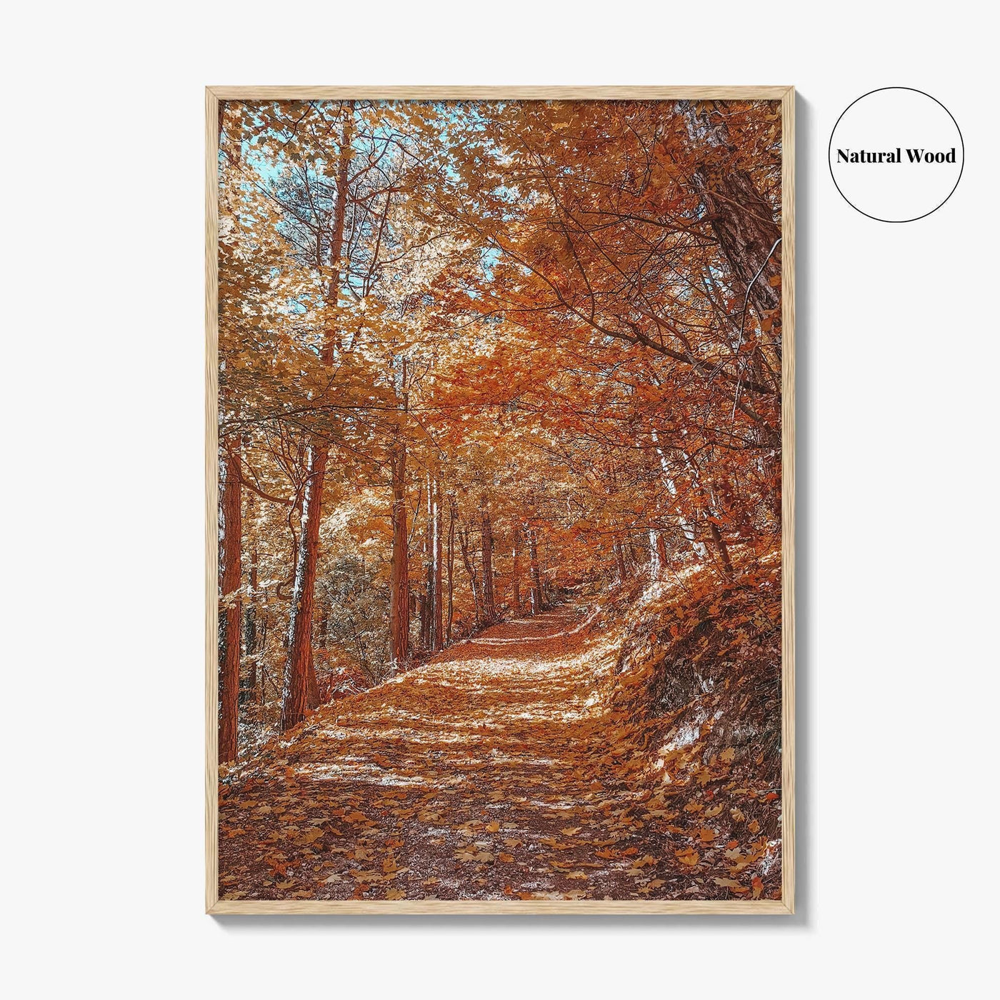 Tampa Mountain Fine Art Photo Print, Brasov Romania Poster, Transylvania Wall Art