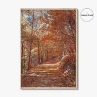 Tampa Mountain Fine Art Photo Print, Brasov Romania Poster, Transylvania Wall Art