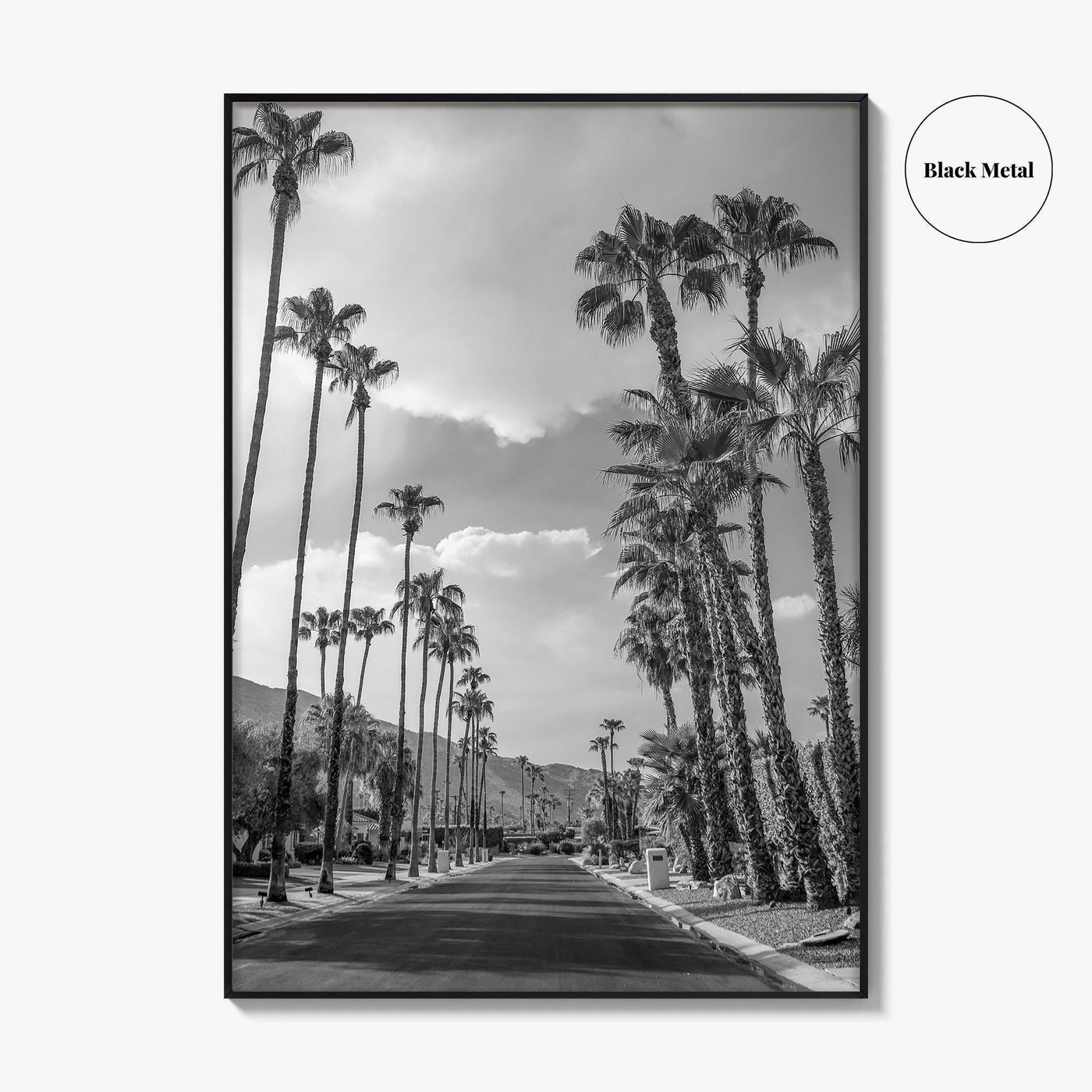 Palm Springs Black and White Fine Art Photo Print, Coachella Valley Poster